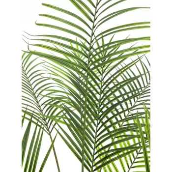 EUROPALMS grootbladige areca kunst arecapalm, 185cm (82509442)