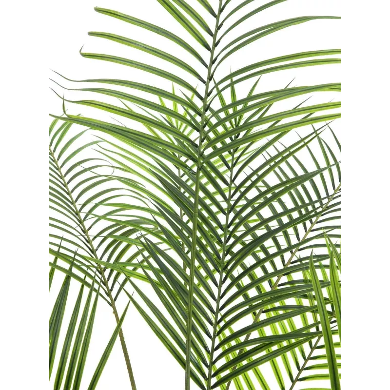 EUROPALMS grootbladige areca kunst arecapalm, 185cm (82509442)