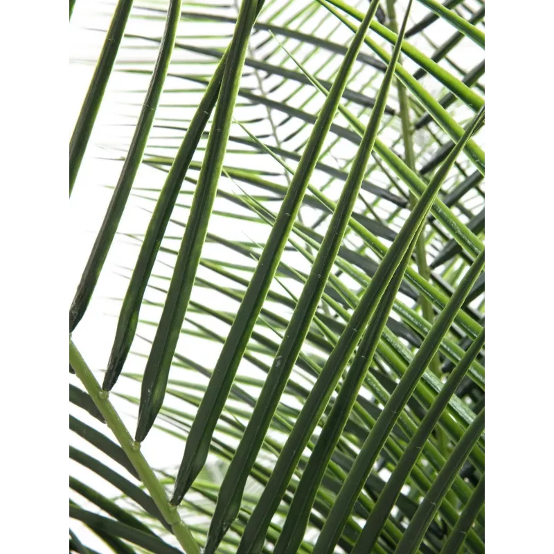 EUROPALMS Phoenix Palm Deluxe kunstplant 220cm 82509722