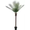 EUROPALMS Phoenix Palm Deluxe kunstplant 220cm 82509722