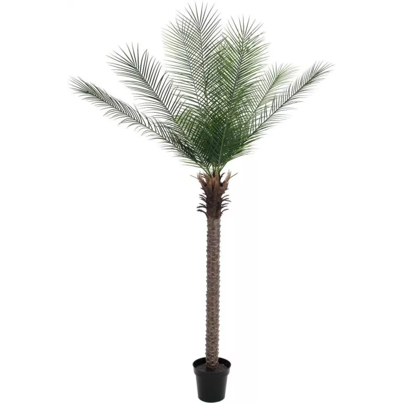 EUROPALMS Phoenix Palm Deluxe kunstplant 220cm 82509722