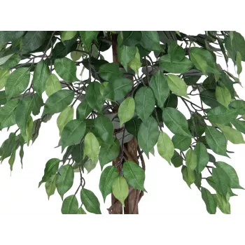 EUROPALMS Ficus Benjamina meerstammige kunstplant, 180 cm 82506126
