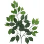 EUROPALMS kunst-ficus-benjaminatak, verpakking van 12 82506101