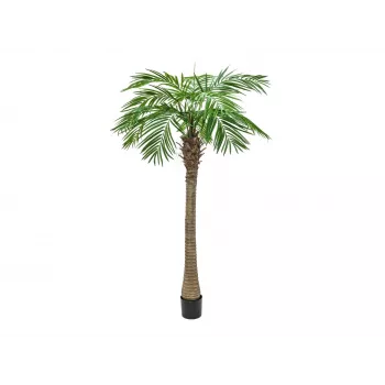 EUROPALMS Phoenix Palm Luxor kunstplant, 210cm 82510721