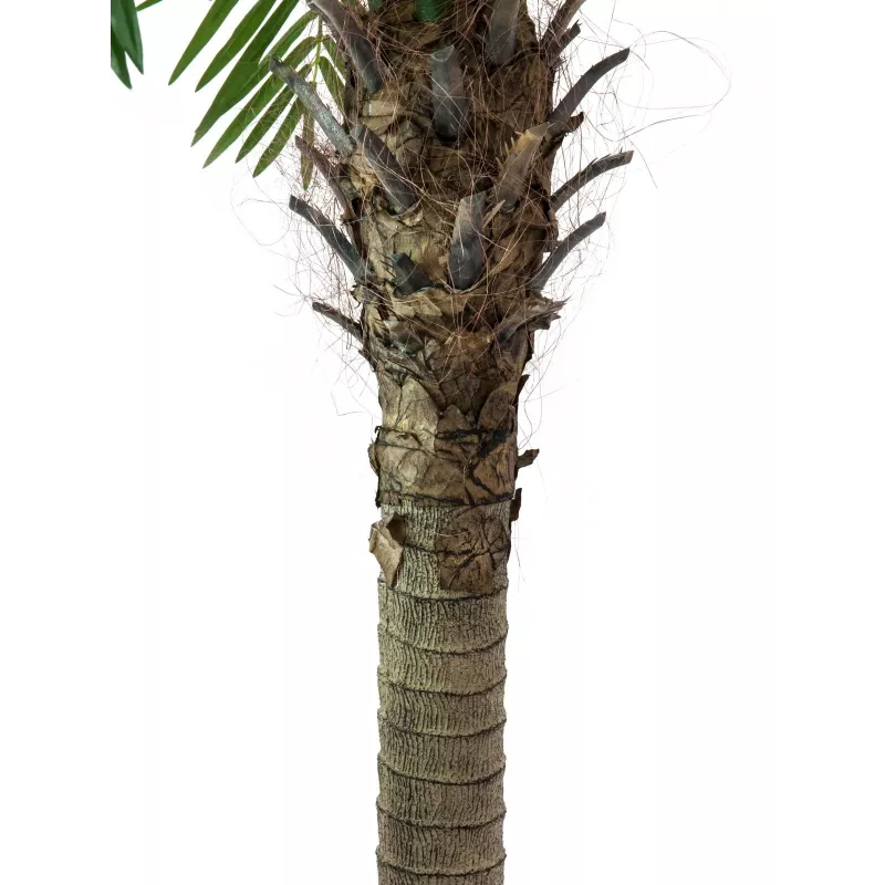 EUROPALMS Phoenix Palm Luxor kunstplant, 210cm 82510721