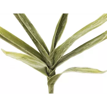 EUROPALMS kunstyuccatak (EVA), groen 82531063