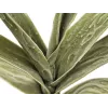 EUROPALMS kunstyuccatak (EVA), groen 82531063
