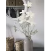 EUROPALMS clematis-tak (EVA), kunstmatig, wit (82531065)