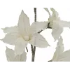 EUROPALMS clematis-tak (EVA), kunstmatig, wit (82531065)