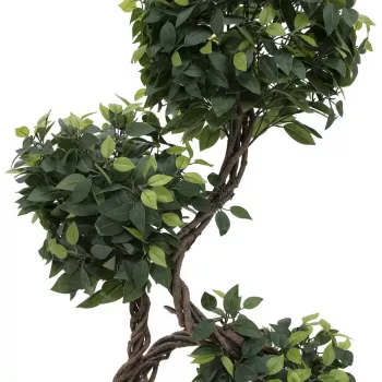EUROPALMS Ficus multi spiral trunk kunstplant, 160cm 82501563