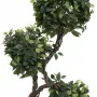 EUROPALMS Ficus multi spiral trunk kunstplant, 160cm 82501563