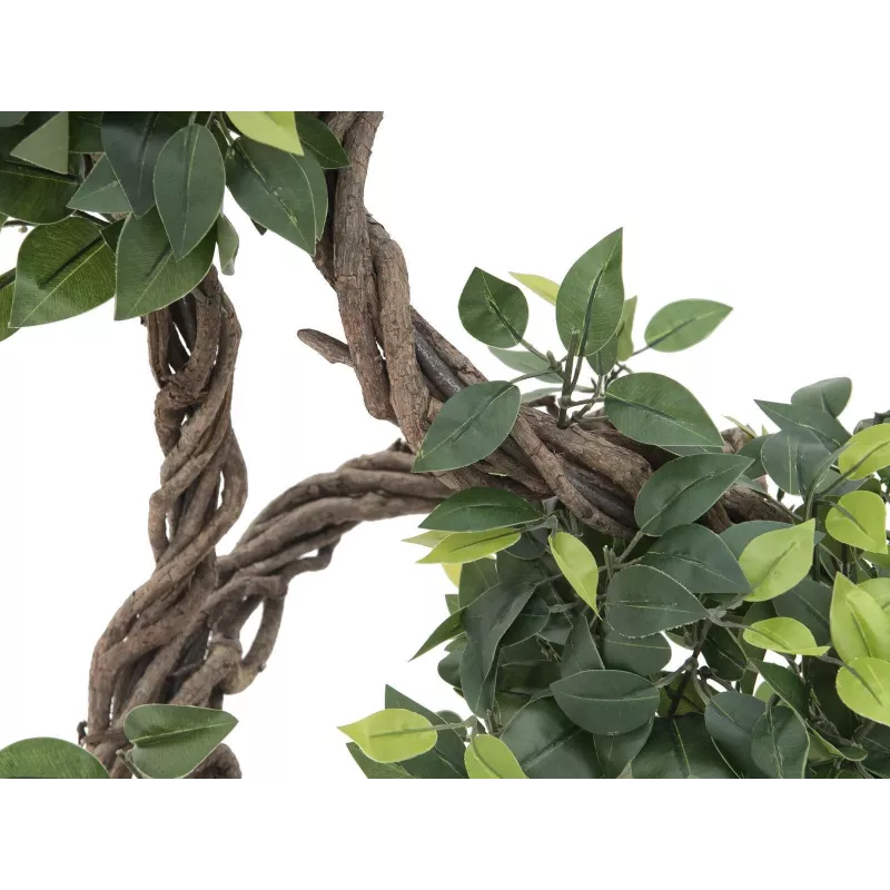 EUROPALMS Ficus multi spiral trunk kunstplant, 160cm 82501563