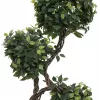 EUROPALMS Ficus multi spiral trunk kunstplant, 160cm 82501563