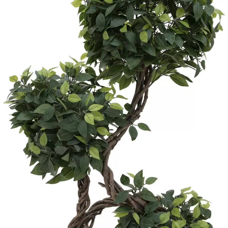 EUROPALMS Ficus multi spiral trunk kunstplant, 160cm 82501563