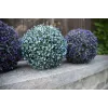 EUROPALMS kunstmatige grasbal, blauw, 22cm 82606975