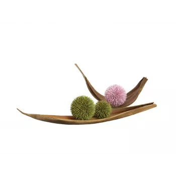 EUROPALMS succulentenbol EVA kunstplant, groen, 16 cm 82531074