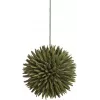 EUROPALMS succulentenbol EVA kunstplant, groen, 16 cm 82531074
