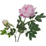 EUROPALMS premium pioentak kunstplant, roze, 100cm 82530220