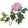EUROPALMS premium pioentak kunstplant, roze, 100cm 82530220
