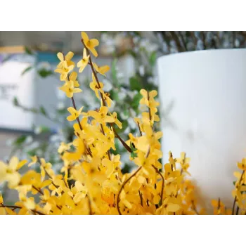EUROPALMS kunstmatige forsythiastruik, 60cm 82505629