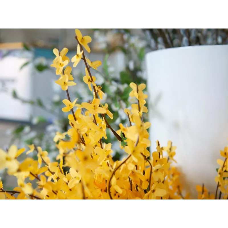 EUROPALMS kunstmatige forsythiastruik, 60cm 82505629