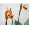 EUROPALMS Strelitzia kunstplant, 90 cm 82540502