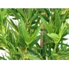 EUROPALMS Bambus deluxe, kunstplant, 150cm 82509166