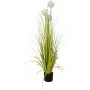 EUROPALMS alliumgras kunstplant, wit, 120 cm 82600169