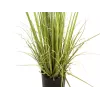 EUROPALMS groenblijvende struik met gras, kunstplant, 182 cm 82600185