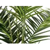 EUROPALMS Kentia-palm kunstplant 240cm 82511368