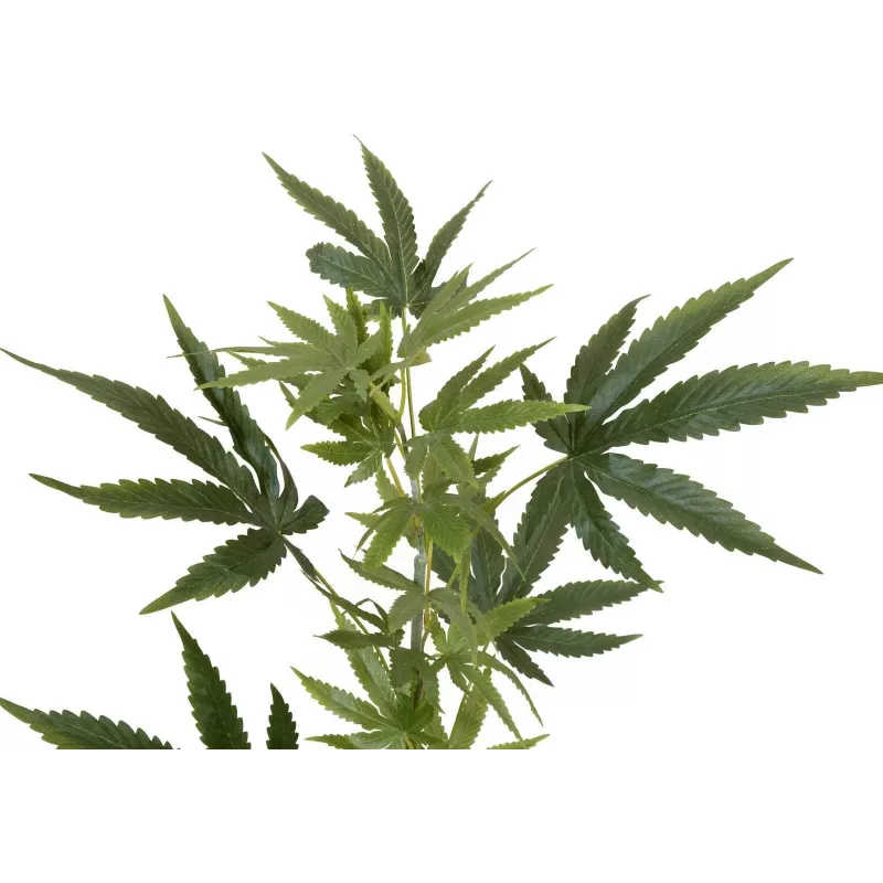 EUROPALMS kunstmatige hennepstengel, 90cm, groen 82506699