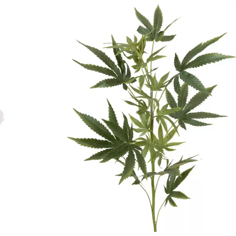 EUROPALMS kunstmatige hennepstengel, 90cm, groen 82506699