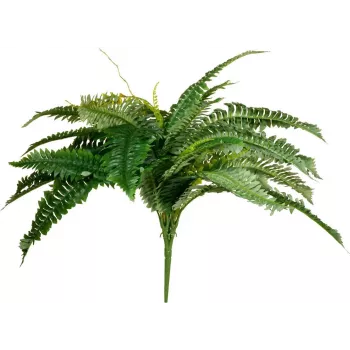 EUROPALMS Boston varen kunstplant, 53 cm, groen 82519934