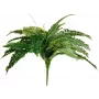 EUROPALMS Boston varen kunstplant, 53 cm, groen 82519934