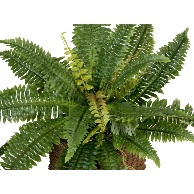EUROPALMS Boston varen kunstplant, 53 cm, groen 82519934