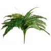 EUROPALMS Boston varen kunstplant, 53 cm, groen 82519934