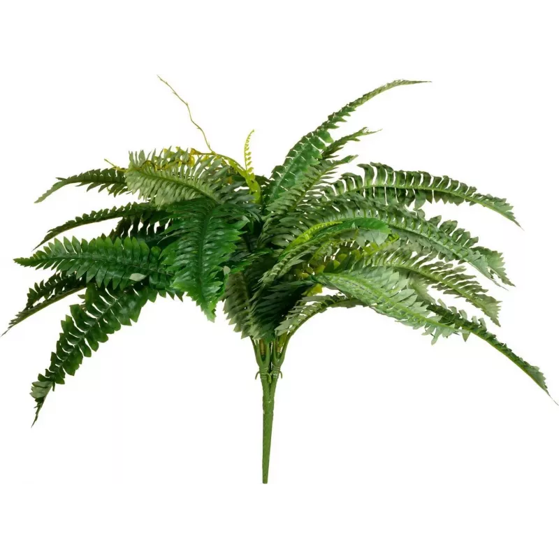 EUROPALMS Boston varen kunstplant, 53 cm, groen 82519934