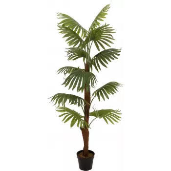 EUROPALMS waaierpalm kunstplant, 155cm 82509303