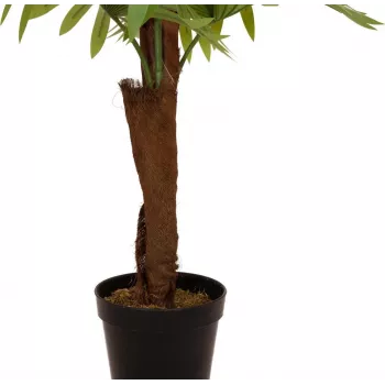 EUROPALMS waaierpalm kunstplant, 155cm 82509303