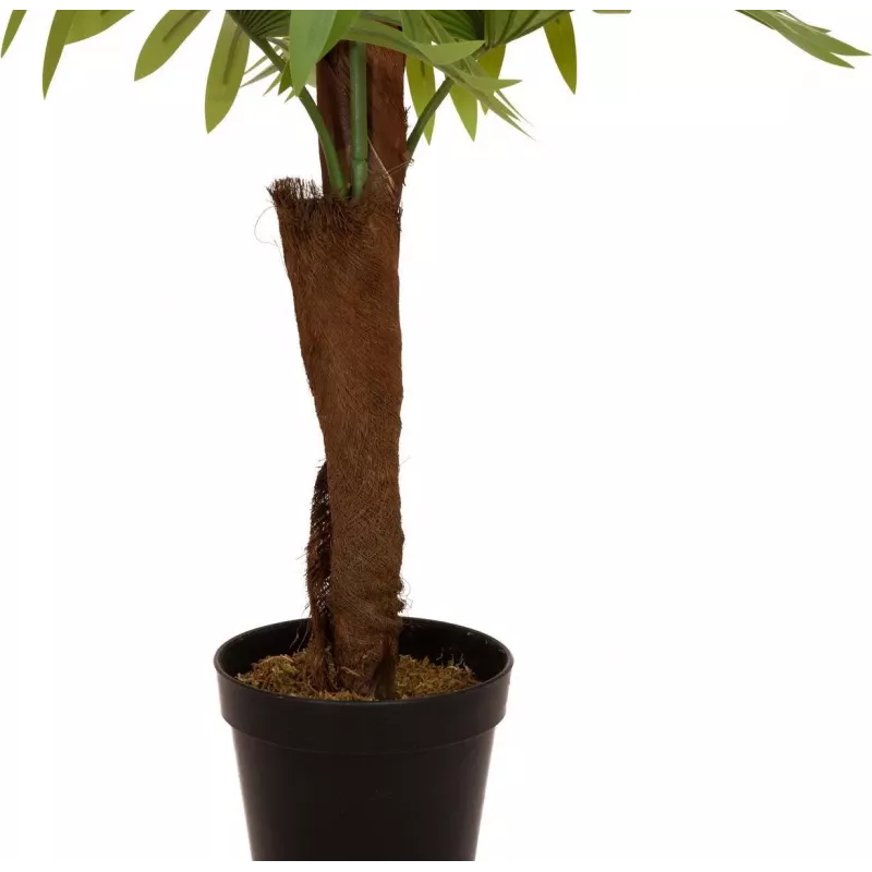 EUROPALMS waaierpalm kunstplant, 155cm 82509303