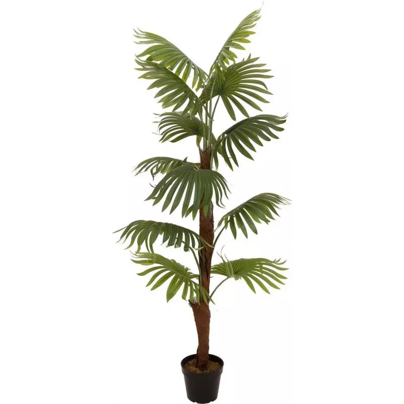 EUROPALMS waaierpalm kunstplant, 155cm 82509303