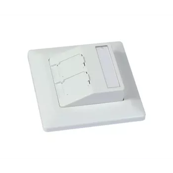 SYNERGY21 Keystone-moduledrager inbouw voor 2xTP-module reinwit rond S216330V3