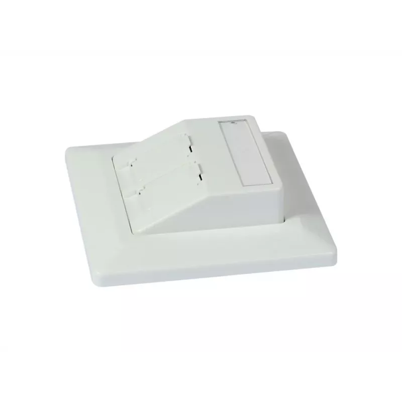 SYNERGY21 Keystone-moduledrager inbouw voor 2xTP-module reinwit rond S216330V3