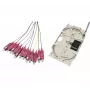 Tecline glasvezel lascassette met 12x OM4-pigtails, SC/UPC, 2,0 m, kleurgecodeerd, 12 stuks 20500026