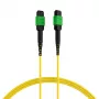 EFB Elektronik MPOF12MPOFOS2-1 MPO-PLUS APC naar MPO-PLUS APC OS2 singlemode 12-faser patchkabel, polariteit type B, LSZH geel, 1 m