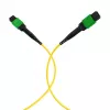 EFB Elektronik MPOF12MPOFOS2-1 MPO-PLUS APC naar MPO-PLUS APC OS2 singlemode 12-faser patchkabel, polariteit type B, LSZH geel, 1 m