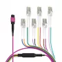 EFB Elektronik MPO-PLUS (F) naar LC trunk-kabel, OM4, 12 vezels, type B, LSZH, erika violet, 1m MPOF12LCOM4-1
