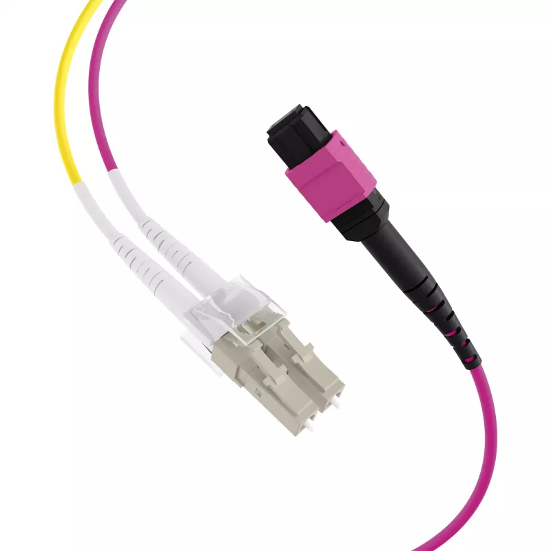 EFB Elektronik MPO-PLUS (F) naar LC trunk-kabel, OM4, 12 vezels, type B, LSZH, erika violet, 1m MPOF12LCOM4-1