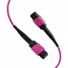 EFB Elektronik MPO-PLUS OM4 8-vezels type B LSZH patchkabel, erika-violet, 3m MPOF8MPOFOM4-3