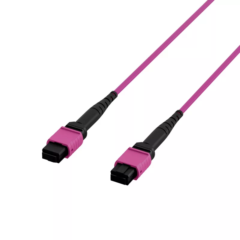 EFB Elektronik MPO-PLUS OM4 8-vezels type B LSZH patchkabel, erika-violet, 3m MPOF8MPOFOM4-3